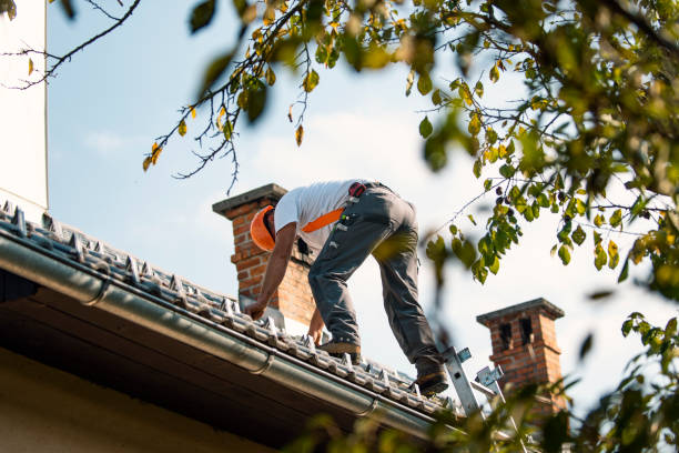 Quick and Trustworthy Emergency Roof Repair Services in River Road, NC