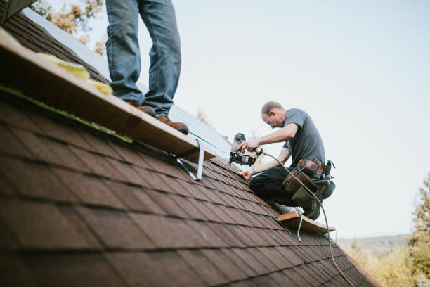 Best Storm Damage Roof Repair  in River Road, NC